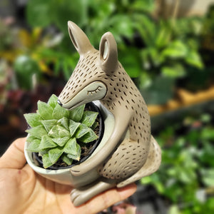 Kangaroo pot